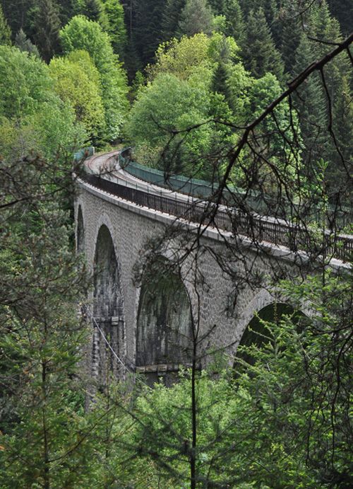 Evoluer dans la forêt sauvage, entre viaducs et tunnels