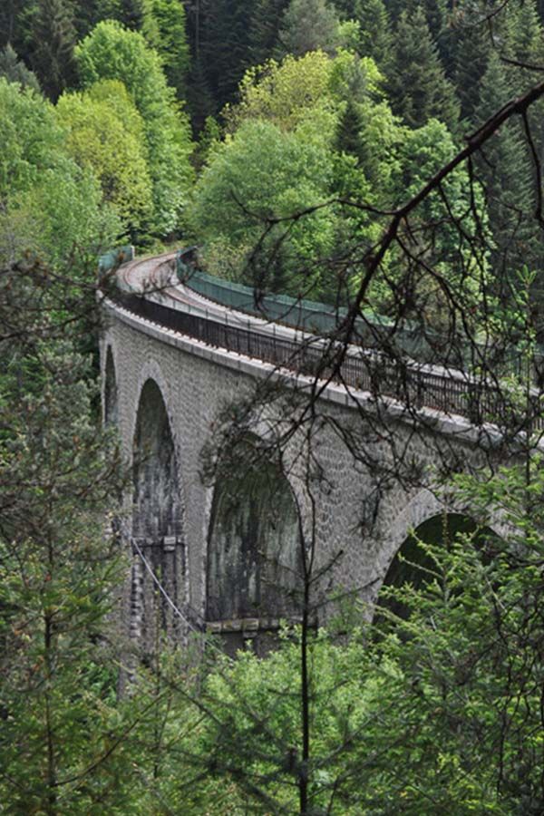 Vélorail du Velay : une activité nature